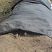 Beek en Donk, 2 juni 2012 039