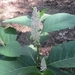 Beek en Donk, 2 juni 2012 072
