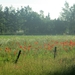 Beek en Donk, 2 juni 2012 003