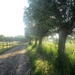 Beek en Donk, 2 juni 2012 004
