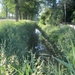 Beek en Donk, 2 juni 2012 007