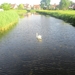 Beek en Donk, 2 juni 2012 018