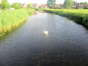 Beek en Donk, 2 juni 2012 018