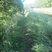 Beek en Donk, 2 juni 2012 022