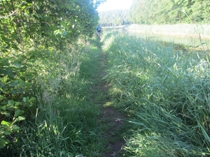 Beek en Donk, 2 juni 2012 022