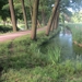 Beek en Donk, 2 juni 2012 027