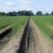 Beek en Donk, 2 juni 2012 042