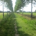 Beek en Donk, 2 juni 2012 048