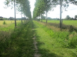 Beek en Donk, 2 juni 2012 048