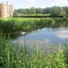Beek en Donk, 2 juni 2012 056