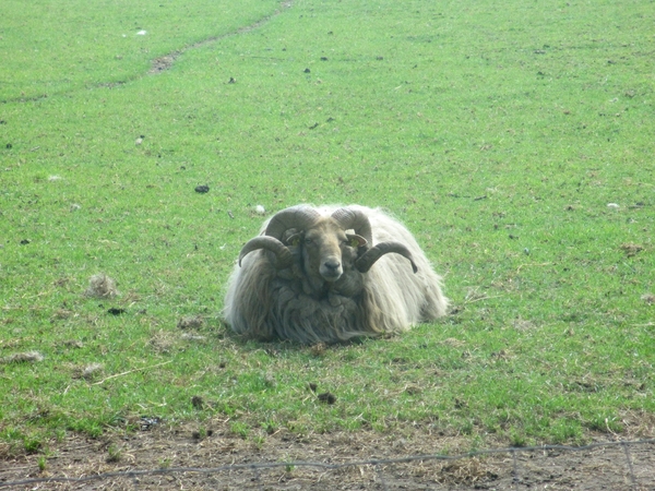 Beek en Donk, 2 juni 2012 067