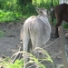 Beek en Donk, 2 juni 2012 075