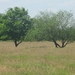 Beek en Donk, 2 juni 2012 090