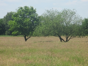 Beek en Donk, 2 juni 2012 090