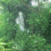 Beek en Donk, 2 juni 2012 113