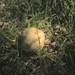 Beek en Donk, 2 juni 2012 126