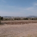 P1000492
