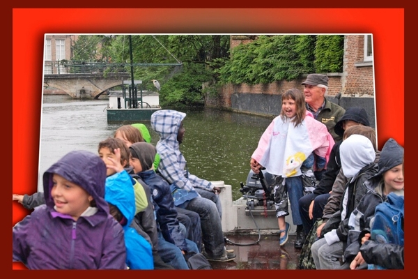 reiger op de achtergrond