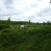 2012-06-05 Ursel 008