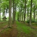 2012-06-05 Ursel 011