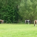 2012-06-05 Ursel 017