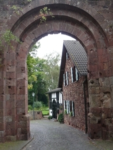 P1000535