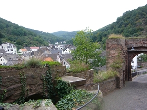 P1000529