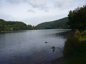 P1000561
