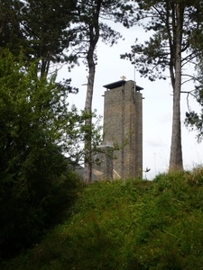 P1000566