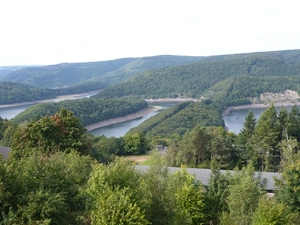 P1000567