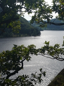 P1000646