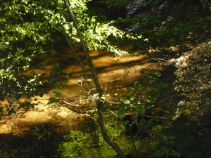 P1000642