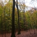 herfst huizingen 001