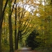 herfst huizingen 003