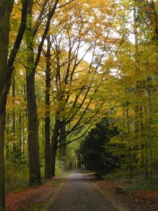 herfst huizingen 003