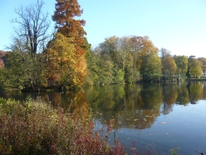 herfst huizingen 015