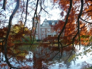 herfst huizingen 017