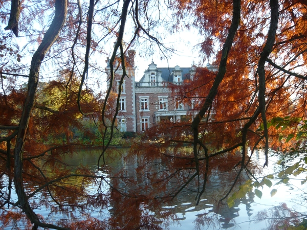 herfst huizingen 017