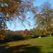 herfst huizingen 012