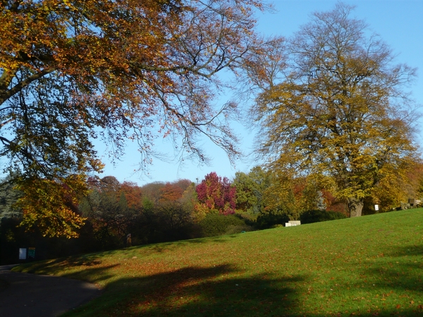 herfst huizingen 012