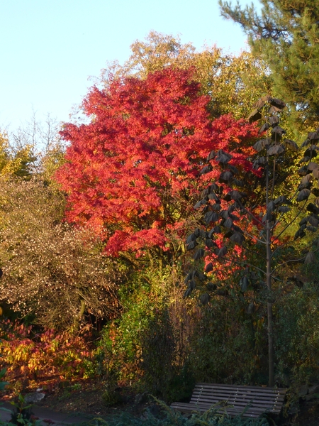 herfst huizingen 024