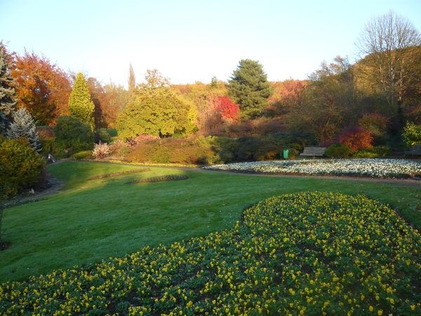 herfst huizingen 025