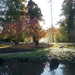 herfst huizingen 018