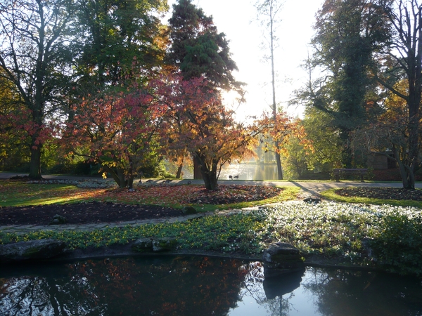 herfst huizingen 018