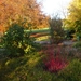 herfst huizingen 020