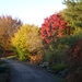 herfst huizingen 023