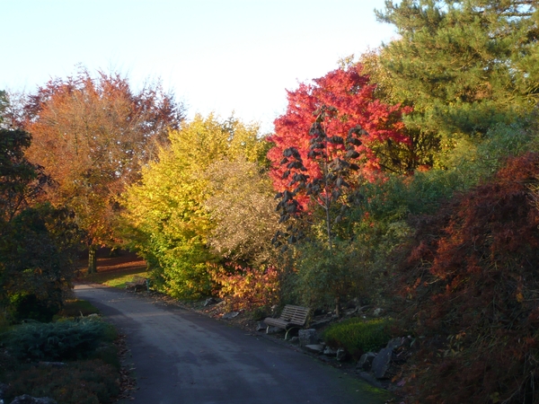 herfst huizingen 023