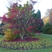 herfst huizingen 027