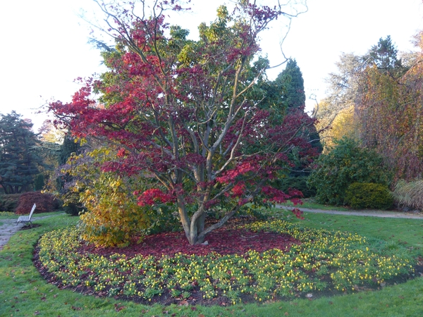 herfst huizingen 027