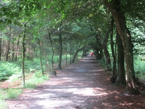 NS Wandeltocht, 5 juni 2012 017